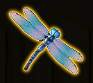 symbol Dragonfly