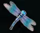 symbol Dragonfly