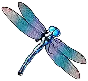 Simbolo della libellula